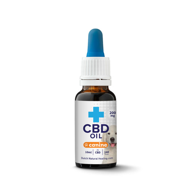 cbd olaj kutyaknak 10ml palack 200mg kutya allatokat